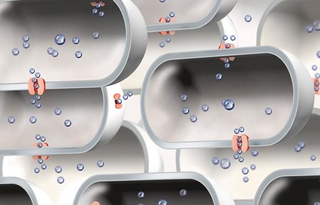 Illustration av ett begränsat antal aquaporiner.